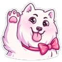 Стикеры Самми в Telegram