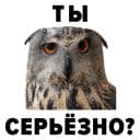 Стикеры Зоодурдом в Telegram