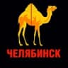 Telegram-канал Челябинск (from news media) все новости из СМИ, ЧП