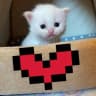 Telegram-канал Нежная пикча 💗