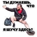 Стикеры Тапок в Telegram