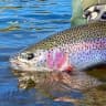Telegram-канал KamFishing🐟- рыбалка и туризм на Камчатке
