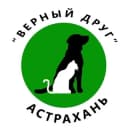 Канал 🐶vdrug_priut в Telegram