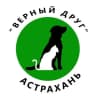 Telegram-канал 🐶vdrug_priut