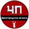 Telegram-канал ЧП Нижний Новгород и Нижегородская область