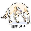 Стикеры Белый в Telegram