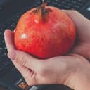 Канал РЕЦЕПТЫ ДИЕТОЛОГА в Telegram