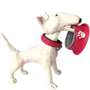 Стикеры Дуня в Telegram