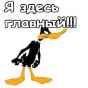 Стикеры Даффи Дак в Telegram