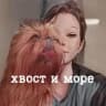 Telegram-канал Гуманный груминг в Сербии. Нови-Сад 🐾