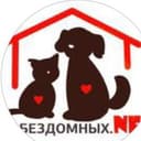 Канал Bezdomnih_net_vladikavkaz в Telegram