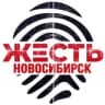 Telegram-канал Жесть Новосибирск