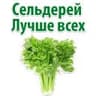Факты о Сельдерее
