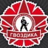 Telegram-канал ЦВП Гвоздика г. Тольятти