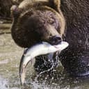 Канал ProFish в Telegram