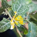 Канал Защита растений plant protection🐛🐞🪴🔬 в Telegram