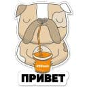 Стикеры Котик айтишник в Telegram