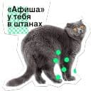 Стикеры Позируй псина в Telegram
