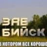 Telegram-канал в Бийске любят