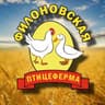 🐣Филоновская птицеферма🐥