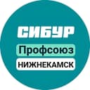 Канал Профсоюз Нижнекамскнефтехим в Telegram