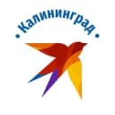 Канал КП Калининград | Новости региона в Telegram