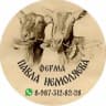 Telegram-канал ПАВЕЛ НЕМОЛЯЕВ блогер Саратов