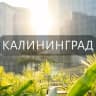 Telegram-группа Мой Калининград: Новости, Мероприятия, Вакансии,Бюро находок,Отдам даром,Подслушано,Услуги,Недвижимость,Объявления,Афиша,Работа