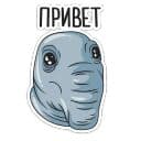 Стикеры Ждун в Telegram