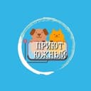 Канал Приют Южный г. Краснодар в Telegram