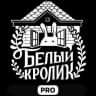 Telegram-канал Портфолио, реклама, кастинги, детский КВН