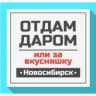 Telegram-канал Отдам даром Новосибирск