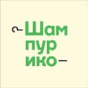 Канал Шампурико в Telegram