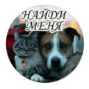 Канал КАНАЛ Найди меня 🐶🐈🐾 ХАБАРОВСК в Telegram