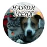 Telegram-канал КАНАЛ Найди меня 🐶🐈🐾 ХАБАРОВСК