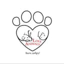 Канал Floveanimals.ru в Telegram
