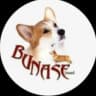 Telegram-канал Питомник BUNASE🐶