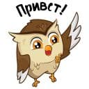 Стикеры Togulife в Telegram