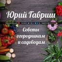 Канал Дача: Советы огородникам и садоводам в Telegram