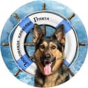 Канал Зоокоманда капитана Гранта в Telegram