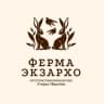 Telegram-канал Ферма Экзархо | Сочи