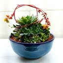 Канал گلستان زانيار в Telegram