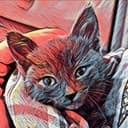 Канал КотоДонецк. Жизнь на грани ... в Telegram
