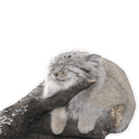 Стикеры manul в Telegram