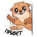Стикеры Семейка Отти в Telegram