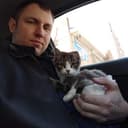 Канал ЖИЗНЬ КОТА БЕЗ ЛАП в Telegram