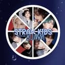 Канал Stray Kids | 스트레이 키즈 в Telegram
