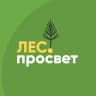Telegram-канал ЛесПросвет | Сибирский кедр