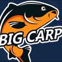 Канал *BIG CARP*🎣Рыболовный клуб в Telegram