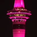 Канал Life in New Zealand. Новая Зеландия. в Telegram